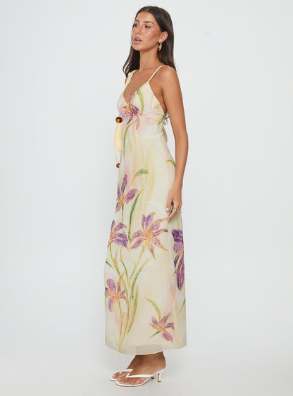 Isakaia Beaded Maxi Dress Floral / Multi
