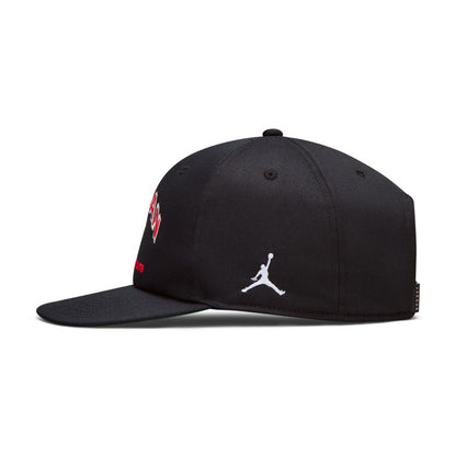 Air Jordan Pro Hat (BLACK/BLACK/KELLY GREEN/WHITE)