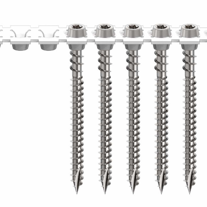 CAMO® - 2-1/2", Camo Drive Collated Composite Screws, 304SS, T20 1000ct