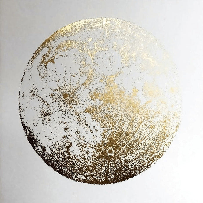 F / 8 x 8 inch / 20 x 20 cm