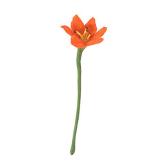 Endless Flower, Lily Eleish Van Breems Home