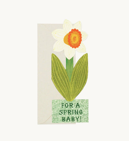 Hadley - For A Spring Baby Daffodil Card