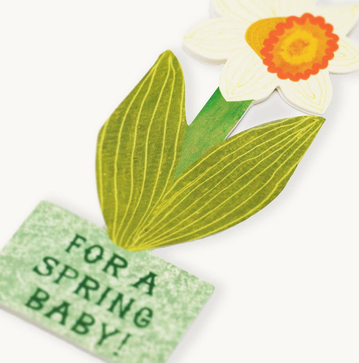 Hadley - For A Spring Baby Daffodil Card