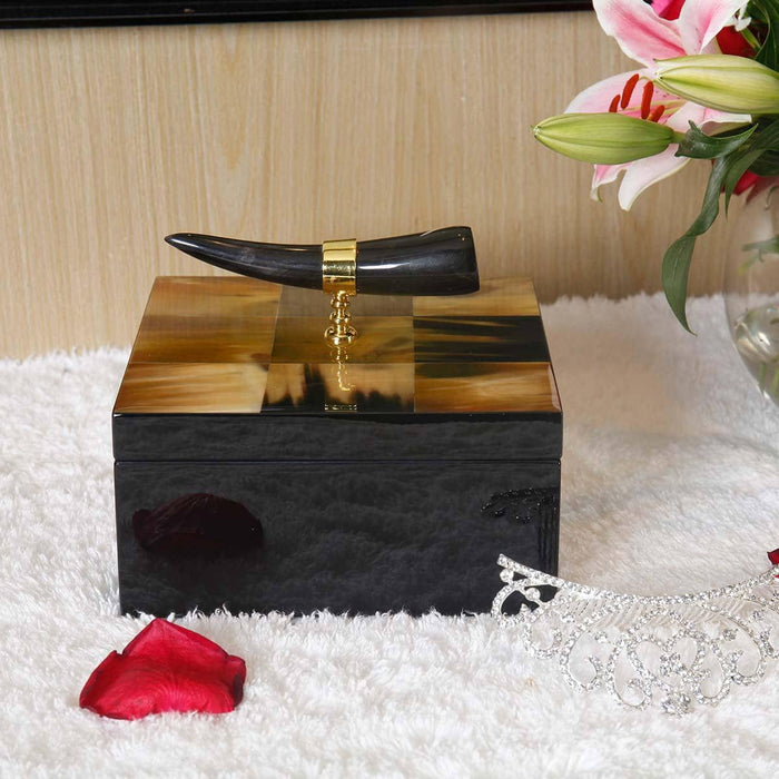 Horn Stripe Jewelry Organizer: Stylish and Chic Storage Solution for Accessories