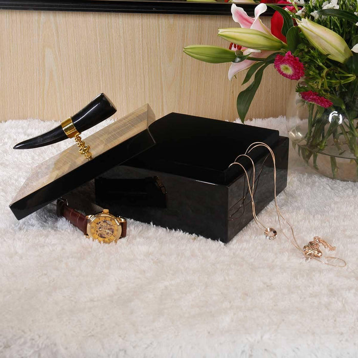Horn Stripe Jewelry Organizer: Stylish and Chic Storage Solution for Accessories