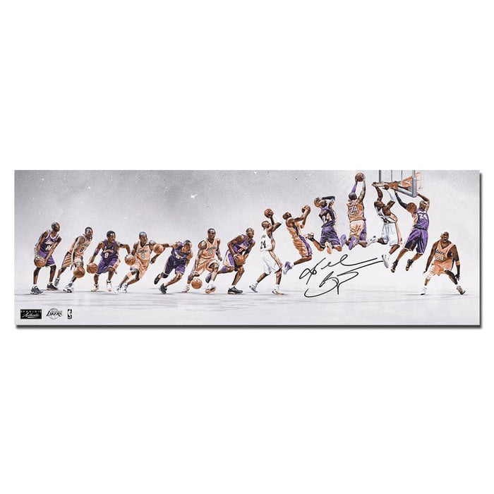 zx981c / 12 x 35 inch / 30 x 90 cm