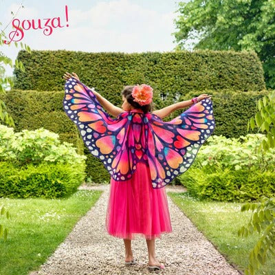 Papillon Dress + Wings
